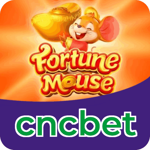 cncbet cassino ao vivo — streams, chat e LGPD